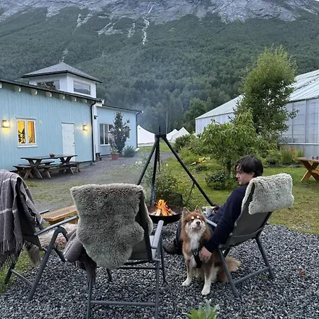 Glamping And Retreat - Telt 5 Vakker Glampingplass Med Landlig - Midt I Ren Og Gronn *